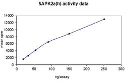 Eurofins DiscoverX p38 /SAPK2a Protein, Active 10 &mu;g | Buy Online | Eurofins DiscoverX | Fisher Scientific